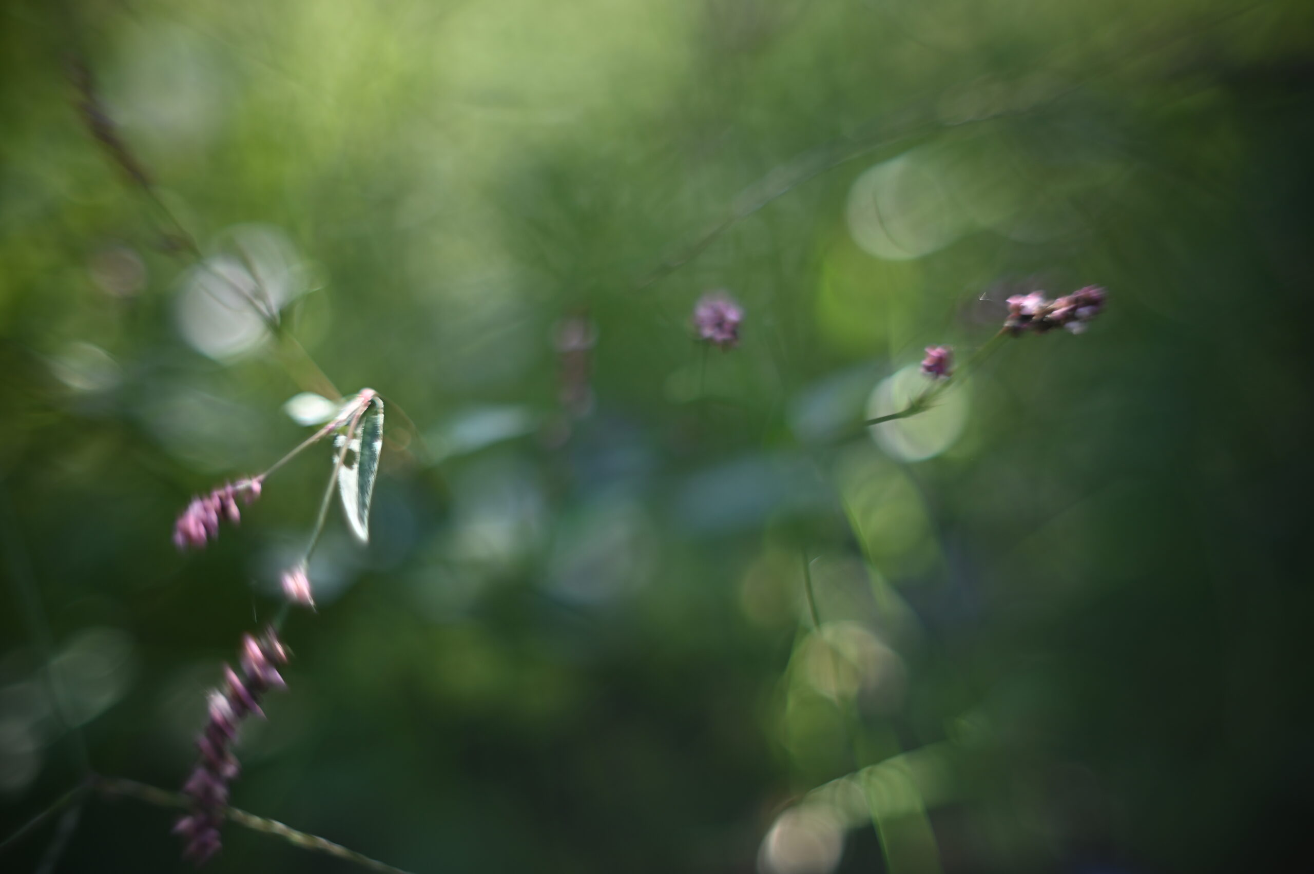 浮月土うつつUTUTU｜弥生食事会